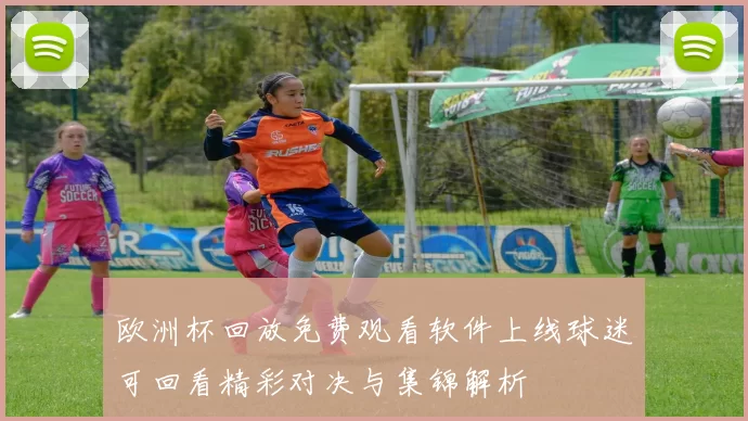 欧洲杯回放免费观看软件上线球迷可回看精彩对决与集锦解析